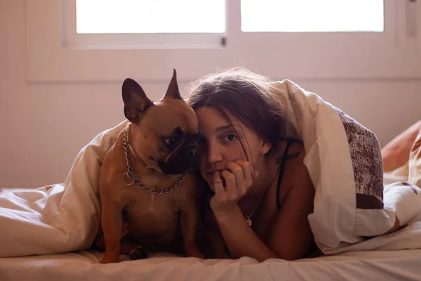 Sexy woman with french bulldog while laying inside a bed