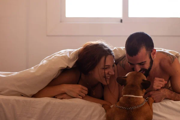 Счастливая Пара Лежит Кровати Пока Собака Пытается Подняться Ними — стоковое фото