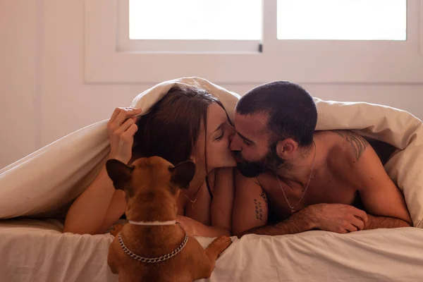 Genç bir çift yatakta öpüşürken bir köpek de onlarla yukarı çıkmaya çalışıyor.