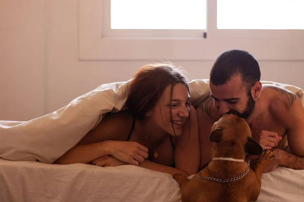 Glückliches Paar Liegt Auf Dem Bett Während Ein Hund Versucht — Stockfoto