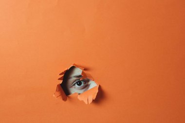 Kahverengi göz delikten bakıyor. Turuncu arkaplan