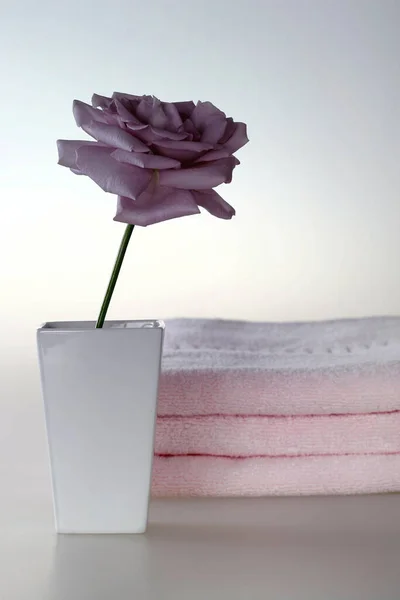 Purple Rose Vase Towel — Stock Photo, Image