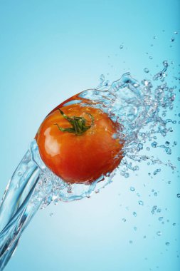 Mavi arkaplana su sıçratan domates