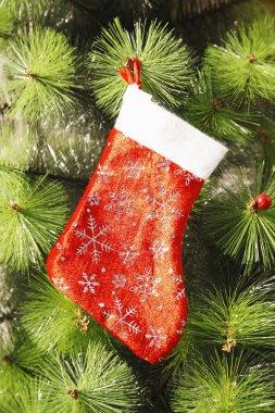 Noel ağacında asılı kırmızı Noel çorabı