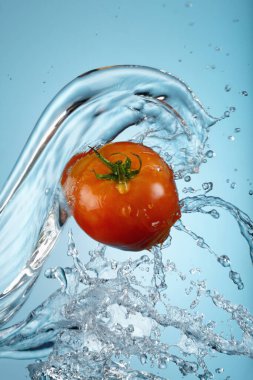 Mavi arkaplana su sıçratan domates