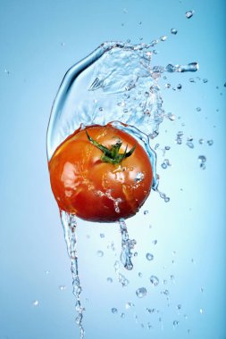 Mavi arkaplana su sıçratan domates