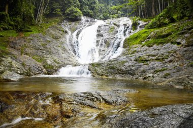 Natural waterfall at Cameron Highlands, Malaysia clipart