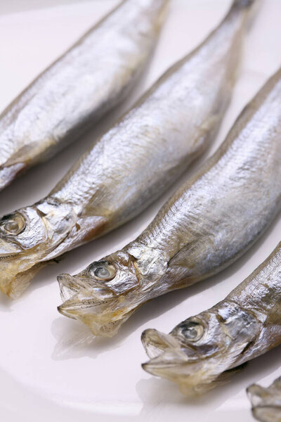 Capelin fish against white background