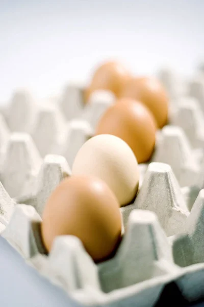 Яйца Подносе Крупным Планом — стоковое фото