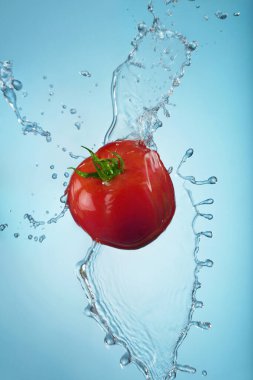 Mavi arkaplana su sıçratan domates