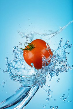 Mavi arkaplana su sıçratan domates