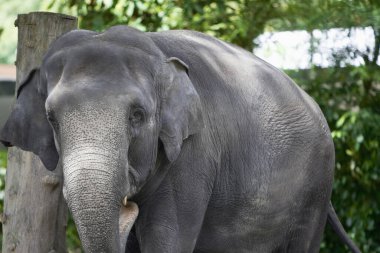 Filin kameraya bakarken ki görüntüsü.