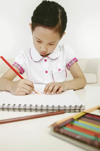 Girl Drawing Sketchbook — Stock Photo, Image