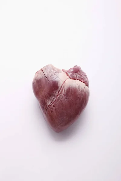 Coeur Cochon Sur Fond Blanc — Photo