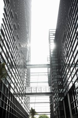 Futian Bölgesi, Shenzhen, mimari yapılar.