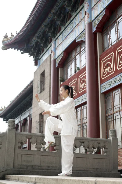 Mujer Practicando Artes Marciales —  Fotos de Stock