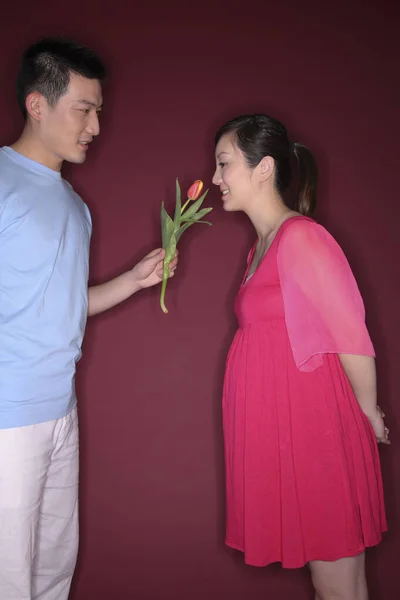 Bir Erkeğin Uzattığı Çiçek Kokan Hamile Bir Kadın — Stok fotoğraf