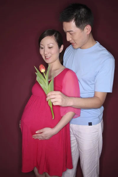 Mann Schenkt Schwangerer Frau Eine Blume — Stockfoto
