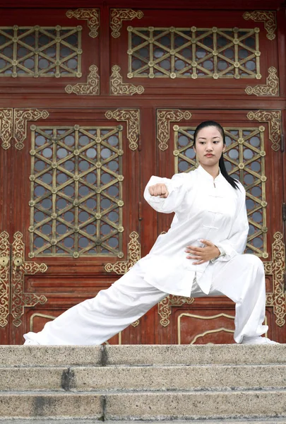 Woman Practising Martial Arts — Stock Photo, Image