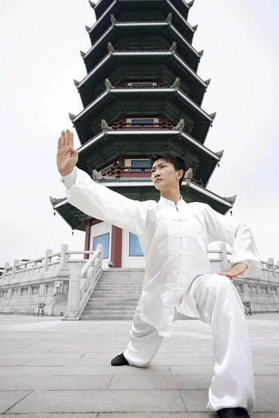 Hombre Practicando Artes Marciales —  Fotos de Stock