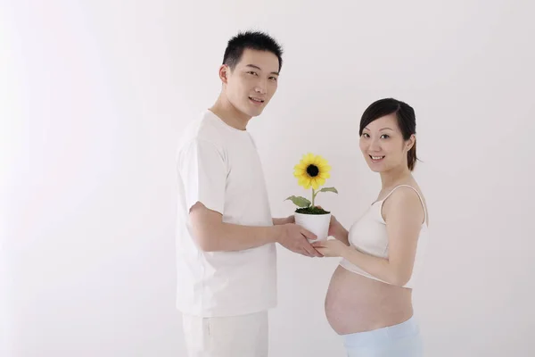 Mann Und Schwangere Frau Mit Topfpflanze — Stockfoto
