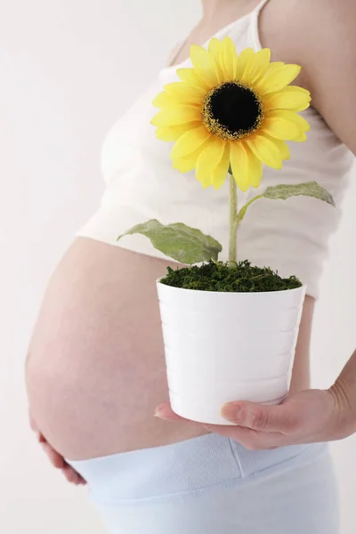 Schwangere Hält Topfpflanze Der Hand — Stockfoto