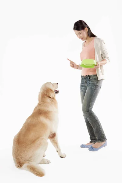 Una Mascota Perro Con Una Joven Propietaria — Foto de Stock