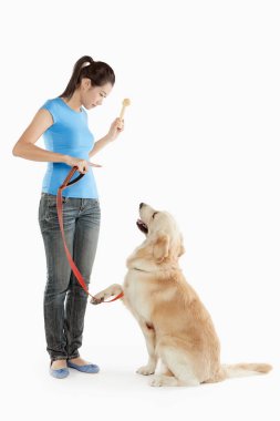 Genç bir kadın sahibi olan bir köpek.