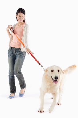 Genç bir kadın sahibi olan bir köpek.