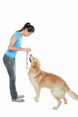 Genç bir kadın sahibi olan bir köpek.