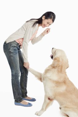 Genç bir kadın sahibi olan bir köpek.