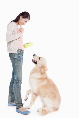 Genç bir kadın sahibi olan bir köpek.