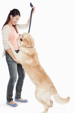 Genç bir kadın sahibi olan bir köpek.