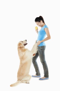 Genç bir kadın sahibi olan bir köpek.