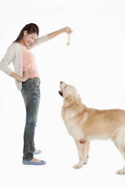 Genç bir kadın sahibi olan bir köpek.