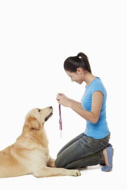 Genç bir kadın sahibi olan bir köpek.