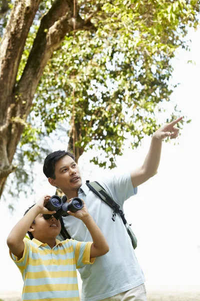 Padre Enseñando Los Hijos Usar Binoculares — Foto de Stock