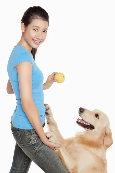若い女性の所有者と犬のペット — ストック写真