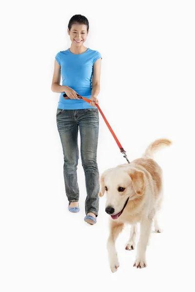 Hund Husdjur Med Ung Kvinna Ägare — Stockfoto