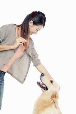Genç bir kadın sahibi olan bir köpek.