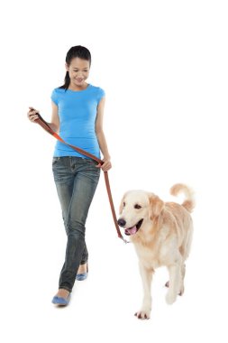 Genç bir kadın sahibi olan bir köpek.