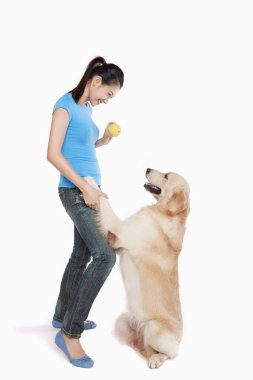 Genç bir kadın sahibi olan bir köpek.