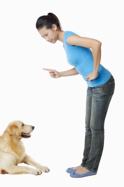 Genç bir kadın sahibi olan bir köpek.