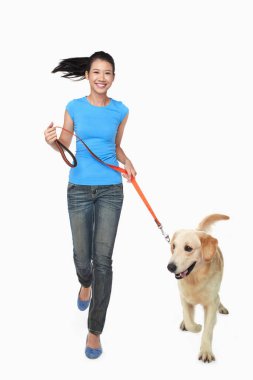 Genç bir kadın sahibi olan bir köpek.