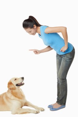 Genç bir kadın sahibi olan bir köpek.