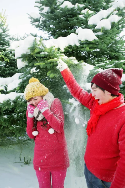 Homem Puxando Árvore Neve Caindo Sobre Mulher — Fotografia de Stock
