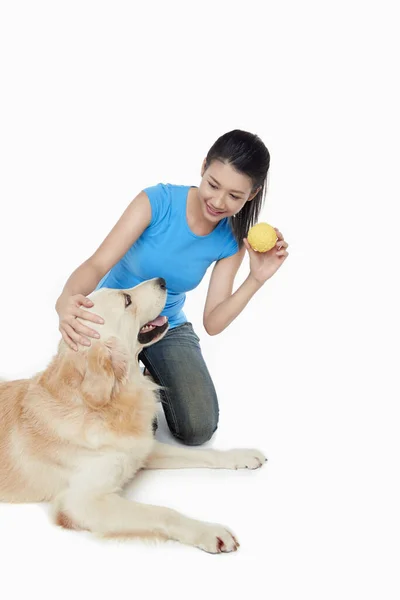 若い女性の所有者と犬のペット — ストック写真