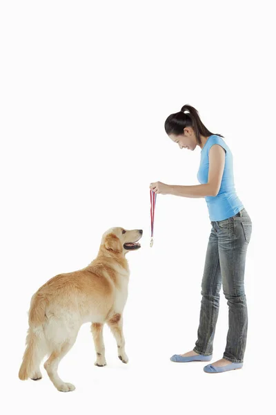 Una Mascota Perro Con Una Joven Propietaria — Foto de Stock