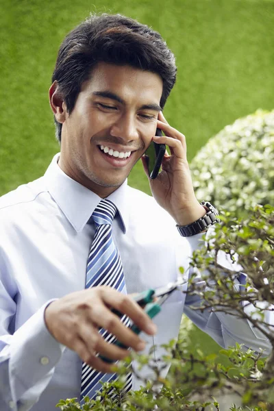 Jovem Empresário Asiático Poda Bonsai Enquanto Fala Celular — Fotografia de Stock