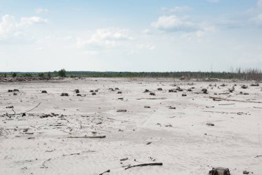 İnsanların sebep olduğu dünyada ormanların yok olması ve çölleşme